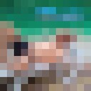 ���������� ������ ��������, ���� ������� ���������, 44 ����, ������������ ��� ������, ����� � ���������