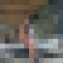 ���������� �����, ���� ������� ����, 39 ���, ������������ ��� c�������� ���������, ���������