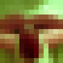  -,   , 78 ,   ,   , c 
