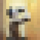 ���������� �������, ���� ������� ���������, 39 ���, ������������ ��� ������