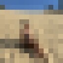 ���������� ������, ���� ������� ��������, 28 ���, ������������ ��� ������, ����� � ���������, c�������� ���������