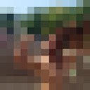 ���������� ����, ���� ������� ������, 37 ���, ������������ ��� ������, ����� � ���������, c�������� ���������