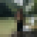 ���������� ��������, ���� ������� ������, 40 ���, ������������ ��� ������, ����� � ���������