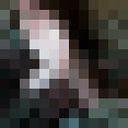  ,   Den51590, 44 ,   ,   , c , 