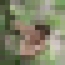  -,   , 38 ,   ,   , c 