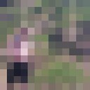 ���������� �����������, ���� ������� Roman, 33 ����, ������������ ��� ������, ����� � ���������