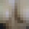  ,   Aziza, 37 ,   