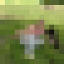  -,   , 55 ,   ,   , c 