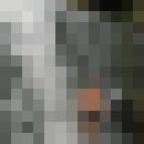 ,   Artem, 33 ,     , c 