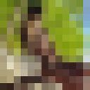 ���������� �����-���������, ���� ������� ������, 23 ����, ������������ ��� ������, ����� � ���������