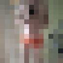 ���������� ������, ���� ������� �����, 41 ���, ������������ ��� ������, ����� � ���������