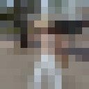 ���������� ������-��-����, ���� ������� ����, 20 ���, ������������ ��� ������, ����� � ���������