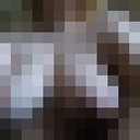  -,   , 36 ,   