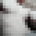 ���������� ��������, ���� ������� �����, 29 ���, ������������ ��� ������, ����� � ���������, c�������� ���������