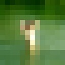 ���������� �����������, ���� ������� �����, 31 ���, ������������ ��� ������, ����� � ���������, c�������� ���������