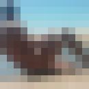  ,   Den, 56 ,  
