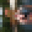  ,   , 45 ,   ,   , c 