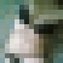  ,   , 52 ,     , c 
