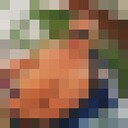 ���������� �����������, ���� ������� ����, 41 ���, ������������ ��� ������