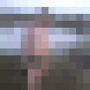 ���������� ������, ���� ������� ������, 32 ����, ������������ ��� ������