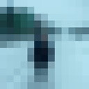  Scinawa,   Ergii, 31 ,   