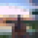 ���������� ��������, ���� ����� �����, 24 ����, ������������ ��� ������, ����� � ���������