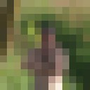 ���������� �����, ���� ������� ��������, 44 ����, ������������ ��� ������, ����� � ���������, c�������� ���������