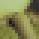 ���������� �����, ���� ������� ������, 33 ����, ������������ ��� ���������