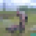  ,   , 34 ,     , c 