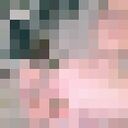  ,   , 31 ,   ,   , 