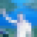  ,   , 55 ,   ,   , 