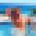 ���������� ��������, ���� ������� ���������, 27 ���, ������������ ��� ������, ����� � ���������