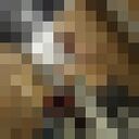 ���������� ����������, ���� ������� ������, 33 ����, ������������ ��� ������, ����� � ���������, c�������� ���������, ���������