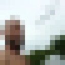 ���������� ��������, ���� ������� �������, 36 ���, ������������ ��� ������, ����� � ���������