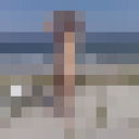 ���������� ���������, ���� ������� ������, 66 ���, ������������ ��� ������