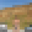 ���������� ����, ���� ������� ��������, 55 ���, ������������ ��� ������