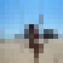 ���������� ������, ���� ������� ���������, 23 ����, ������������ ��� ������, ����� � ���������