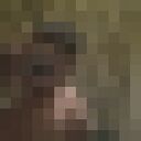 ���������� �����������, ���� ����� ����, 23 ����, ������������ ��� ������, ����� � ���������