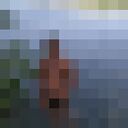 ���������� ������, ���� ������� �������, 30 ���, ������������ ��� ������, ����� � ���������