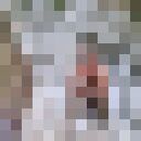 ���������� ��������, ���� ������� �������, 31 ���, ������������ ��� ����� � ���������, c�������� ���������