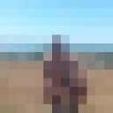 ���������� ������, ���� ������� �������, 44 ����, ������������ ��� ������, ����� � ���������, c�������� ���������