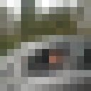  ,   , 55 ,   c 