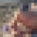 ���������� �����������, ���� ������� ���������, 38 ���, ������������ ��� ������, ����� � ���������, c�������� ���������, ���������