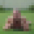  ,   Wolf, 46 ,   ,   , c 