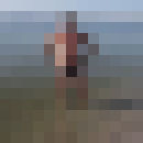  ,   , 81 ,  