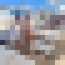 ���������� �����, ���� ������� �����, 32 ����, ������������ ��� ������, ����� � ���������