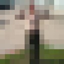 ���������� ������, ���� ������� ���������, 29 ���, ������������ ��� ������, ����� � ���������, c�������� ���������