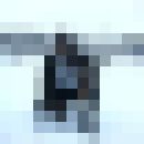  ,   Ramow, 36 ,   