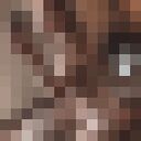  --,   , 26 ,   