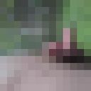 ���������� ������, ���� ������� ����, 37 ���, ������������ ��� ������, ����� � ���������, c�������� ���������